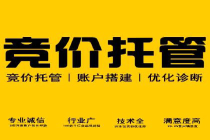 sem代运营机构成功案例：打造高效广告投放策略